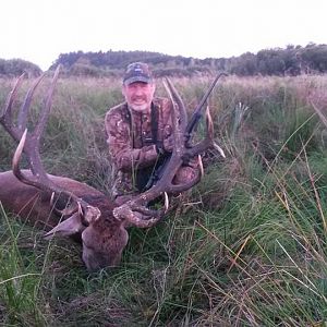 Poland Hunt Red Stag