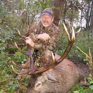 Poland Hunt Red Stag