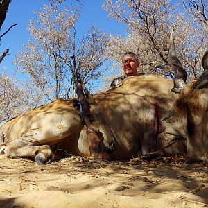 Eland Hunting Namibia