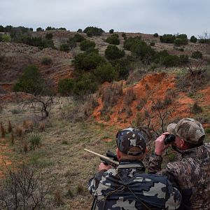 Hunting Texas USA