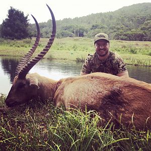 South Africa Bow Hunting Lechwe