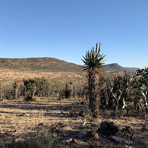 South Africa Hunt Area