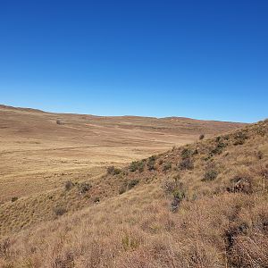 South Africa Vaal Rhebok Hunting Area
