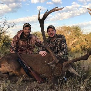 Free range red stag - Argentina - MG Hunting