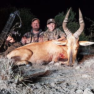 South Africa Bow Hunt Red Hartebeest