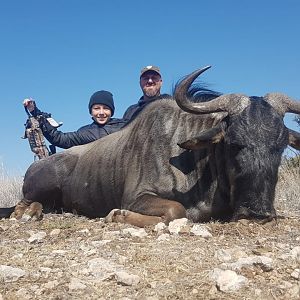 Bow Hunt Blue Wildebeest in South Africa