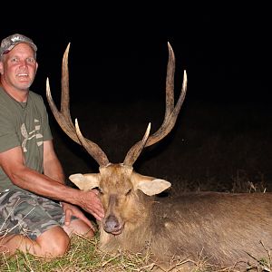 Mauritius Hunt Rusa Deer