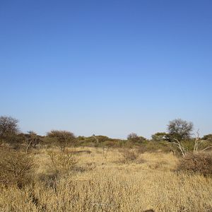 Hunting in South Africa