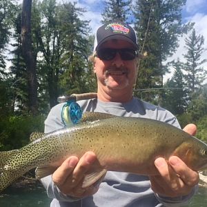 Rainbow Trout Fly Fishing Montana, Idaho & Wyoming USA