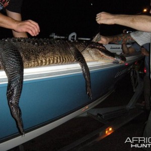 My gator fishing excursion in Louisiana