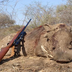 Warthog hunt