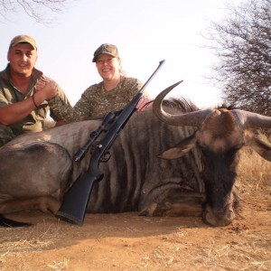 Wildebeest from Spiral Horn Safaris in SA