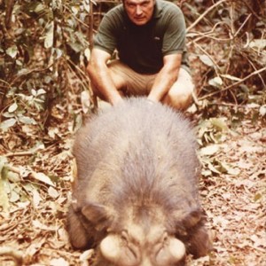 Marc Pechenart with a Giant Forest Hog