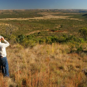 Koedoeberg South Africa