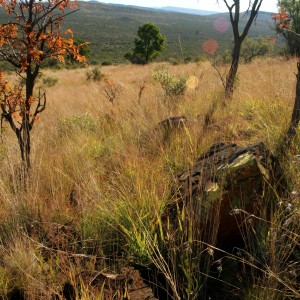 Koedoeberg South Africa