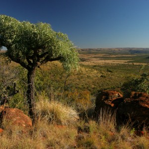 Koedoeberg South Africa