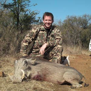 Warthog hunt