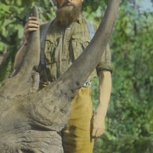 White Rhinoceros taken in Congo Belge by Herbert Lang, 1912