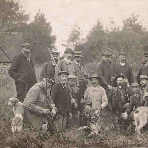 Hunting an escaped Tiger in France