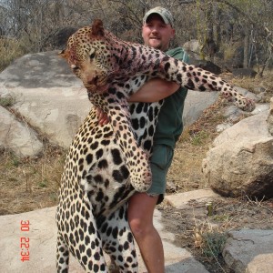 Big leopard shot in Zimbabwe