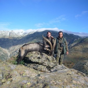 Hunting Gredos Ibex in Spain