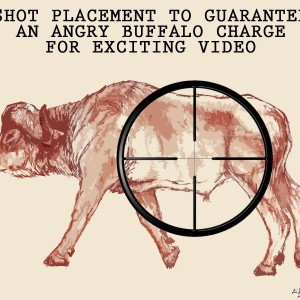 SHOT PLACEMENT TO GUARANTEE AN ANGRY BUFFALO CHARGE FOR EXCITING VIDEO