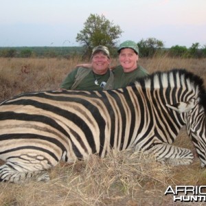 Zebra hunted in South Africa