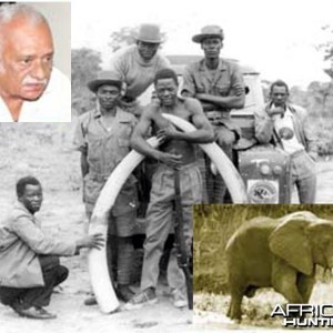 Zambia's most famous poacher of all time Cyrus Kulanga with Elephant tusks