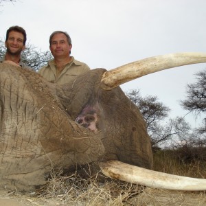 Elephant hunted in Zimbabwe with Steyn Caracal Safaris