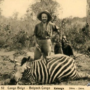 Hunting Belgian Congo, Zebra