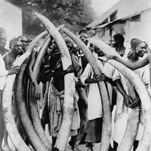 Men with ivory tusks, Dar es Salaam, Tanzania circa 1900