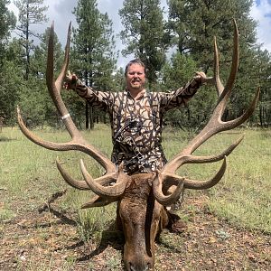 New Mexico USA Bow Hunting Elk