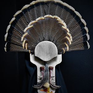 Fall Turkey Fan Board