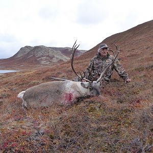 Caribou Hunt Greenland