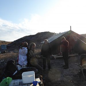 Caribou Hunting Greenland