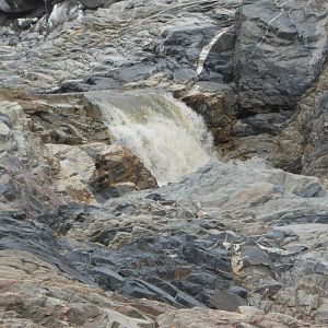 Hunting Area Greenland