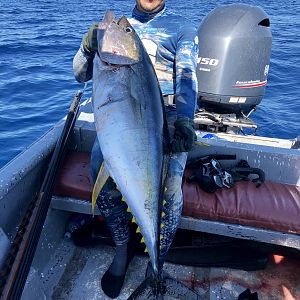 Spearfishing Yellowfin Tuna in Panamá