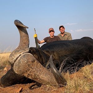 Cape Buffalo Hunt South Africa