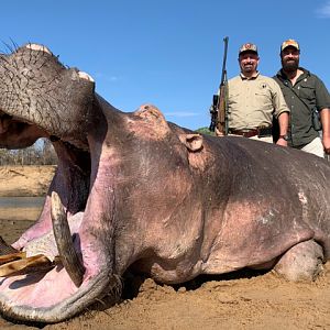 Hunting Hippo in Zambia