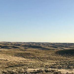 Wyoming USA Hunt