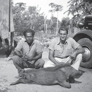 India Hunting Boar