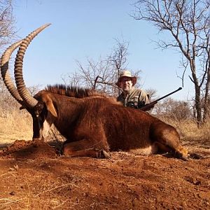 41" Inch Sable Hunting South Africa