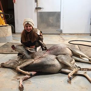 Texas USA Hunt White-tailed Deer