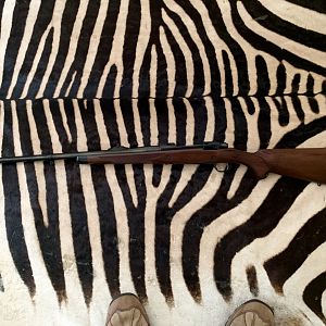 Ruger M77 Rifle Hawkeye African 338