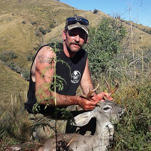 Hunt Coues Deer USA