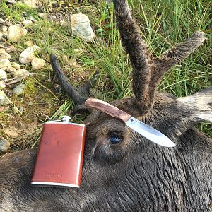 Hunting Moose in Canada