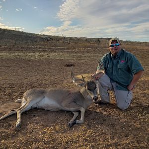 White-tailed Deer Hunting Texas USA