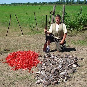 Hunting Dove in Argentina