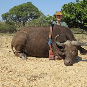 Cape Buffalo Cow Hunting Namibia