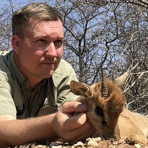 Damara Dik-dik Hunt Namibia